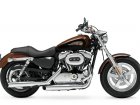 Harley-Davidson Harley Davidson XL 1200C Sportster Custom 110th Anniversary Edition